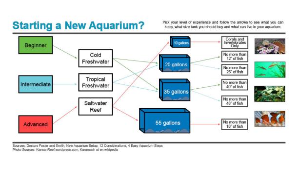 Starting_a_New_Aquarium